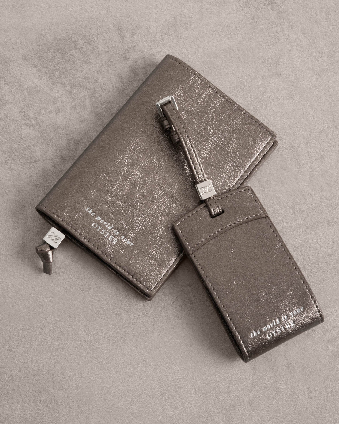 Passport Cover 'The World Is Your Oyster' in Pewter