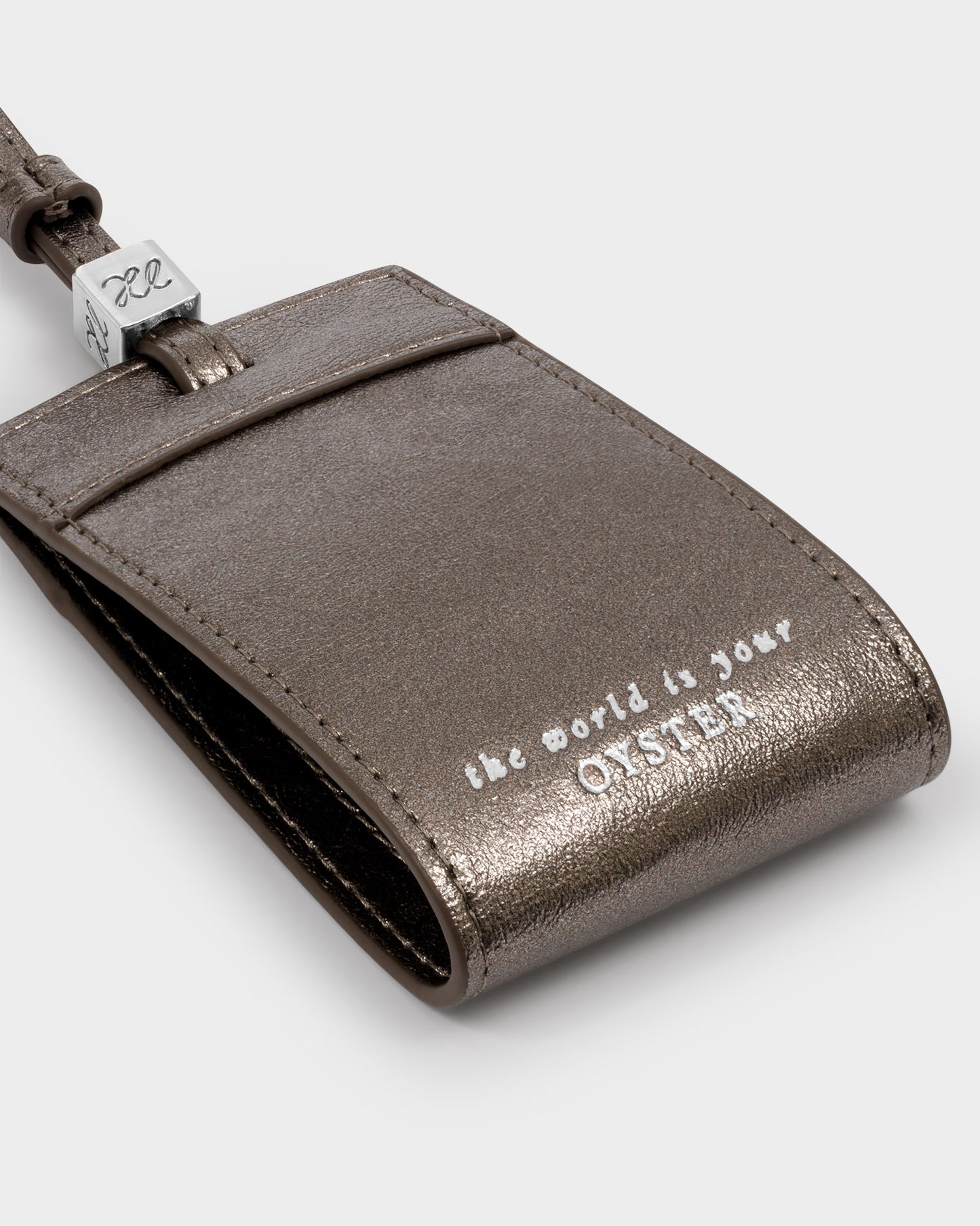 Luggage Tag 'The World Is Your Oyster' in Pewter